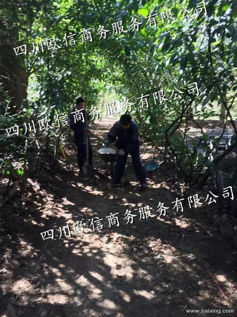 出国劳务招聘，一手单，年薪20-40万不等！！！！